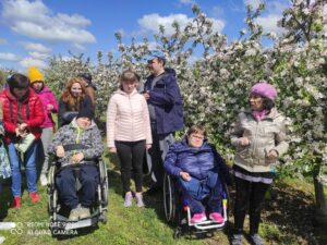 Osoby stojące i osoby na wózkach inwalidzkich na tle kwitnących drzew owocowych
