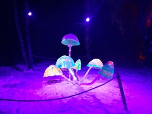 Iluminacja świetlna w formie dużych grzybów oświetlonych niebieskim i fioletowym światłem