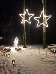 Iluminacje świetlne w formie dwóch gwiazd umieszczonych na konarach drzew
