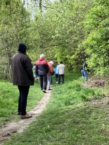 Liczna grupa dorosłych osób widziana od tyłu i idąca ścieżką wśród zieleni