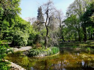 Parkowy staw z brzegiem wyłożonym okrągłymi kamieniami oraz wysokim drzewem na wyspie