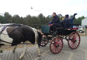 Cztery osoby i woźnica siedzące w powozie zaprzężonym w dwa konie