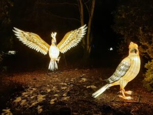 Przestrzenna iluminacja świetlna przedstawiająca dwa nadnaturalnej ptaki z czego jeden z nich ma rozłożone skrzydła