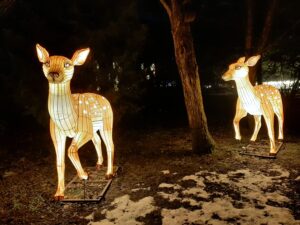 Przestrzenna iluminacja świetlna przedstawiająca dwie idące sarny