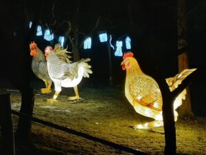 Przestrzenna iluminacja świetlna przedstawiająca trzy kury oraz wiszące na drzewie jasnoniebieskie pranie