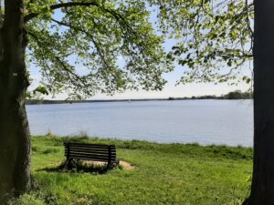 Pas trawnika ze stojącą na nim drewnianą ławką i zbiornik wodny w te zamknięty linią lasu na poziomie horyzontu