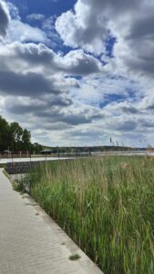 Wyłożony szarą kostką prosty brzeg zbiornika wodnego porośniętego szuwarami oraz niebo z licznymi chmurami