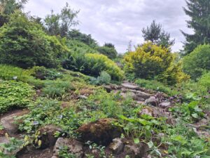 Fragment ogrodu botanicznego z wieloma okazami ozdobnych roślin i tabliczkami z ich nazwami
