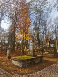 Stare groby porośnięte mchem znajdujące się pośród wielu drzew z liśćmi w odcieniach żółtego i brązowego koloru