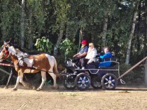 Widziana od lewej strony bryczka wagonowa z ludźmi zaprzęgnięta w dwa konie