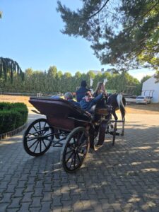 Widziana od tylnej strony bryczka z ludźmi zaprzęgnięta w dwa konie