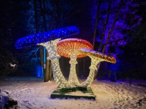 Plenerowa i kolorowa iluminacja świetlna z wielu lampek w formie grupy trzech muchomorów