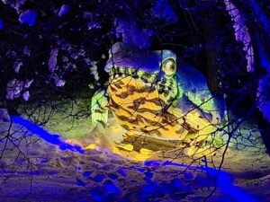 Plenerowa i kolorowa iluminacja świetlna z wielu lampek w formie olbrzymiej zielono żółtej ropuchy