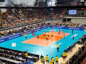 Moment wykonywania zagrywki podczas meczu siatkowego rozgrywanego  w hali widowiskowej wypełnionej widzami