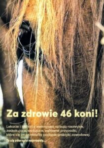 Okładka książki ze zdjęciem zbliżenia głowy konia