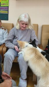 Starsza kobieta siedząca w fotelu a na jej kolanach opiera się rudo-biały pies rasy border collie